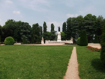 Trees in a garden