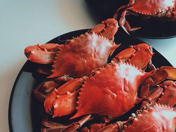 High angle view of cooked crabs in plate on table