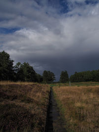 Scenic view of field against sky