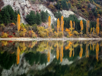 Reflection of trees on lake during autumn