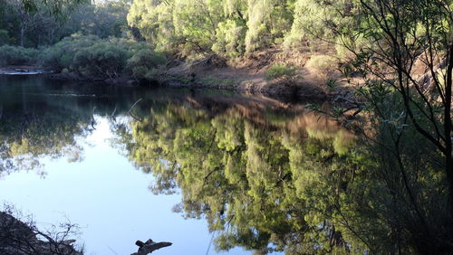 Reflection of trees in lake against sky