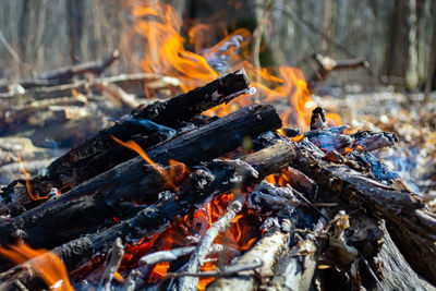 Close-up of fire on log