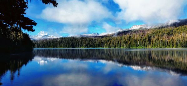 Panoramic view of lake and trees against sky