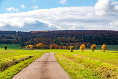 Scenic view of trees on field against sky