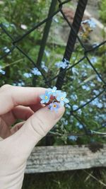 Close-up of woman holding tree trunk