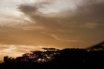 Low angle view of silhouette trees against sky during sunset