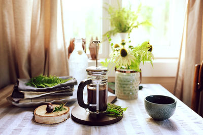 Potted plant on table at home