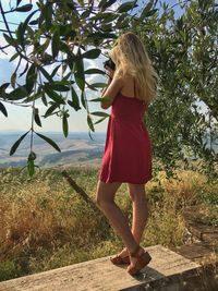 Full length of woman photographing while standing on bench