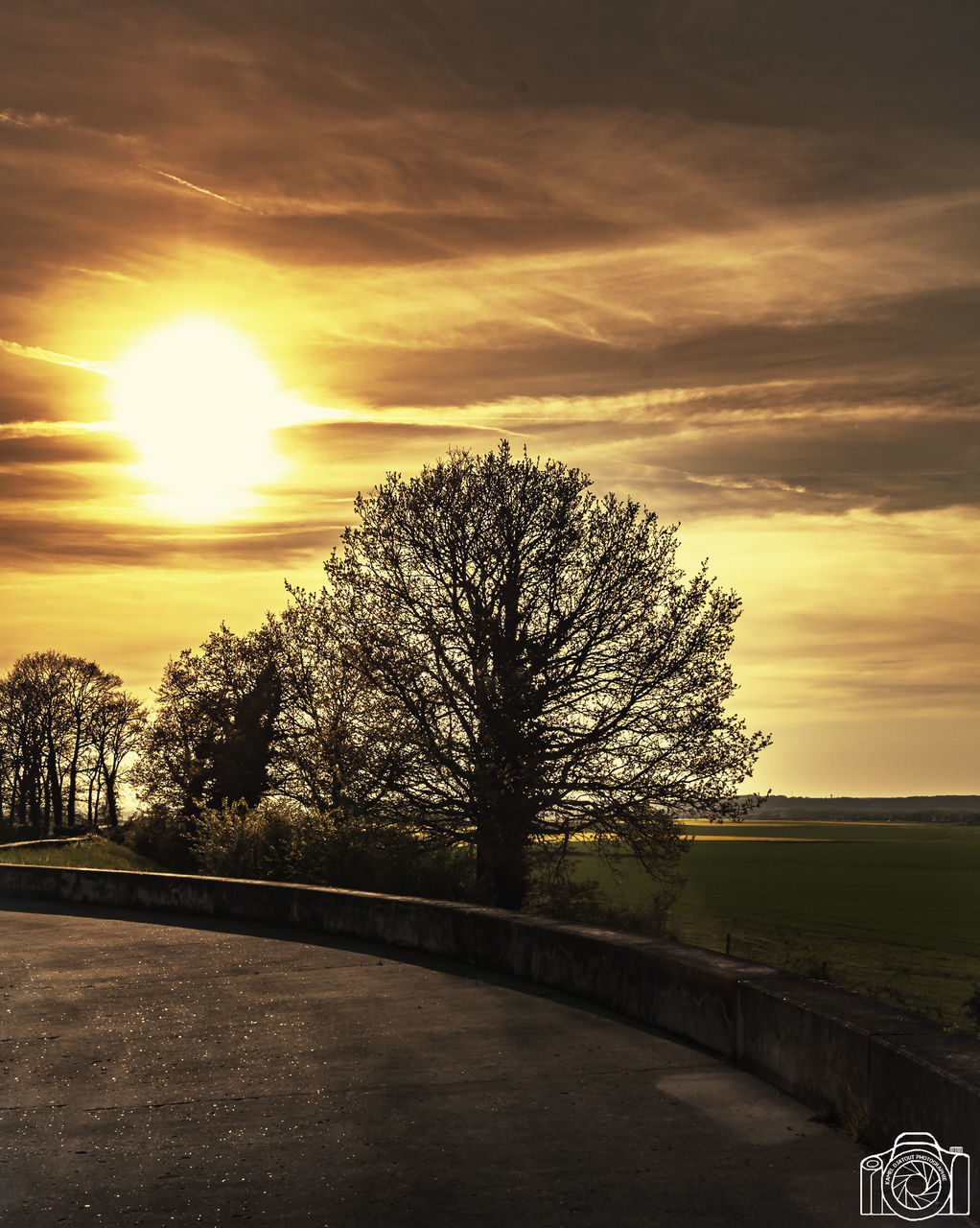 sky, sunset, tree, cloud - sky, plant, beauty in nature, nature, scenics - nature, bare tree, sun, no people, orange color, tranquility, tranquil scene, transportation, road, sunlight, outdoors, the way forward, field