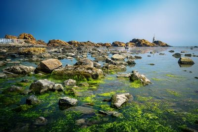 Scenic view of beach against clear sky