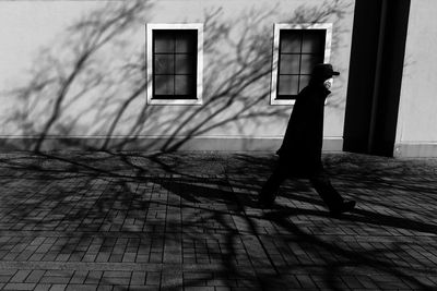 Shadow of tree on wall