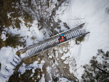 High angle view of snow covered plants and trees