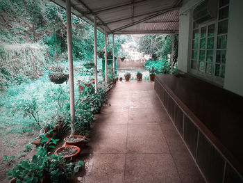 Narrow walkway along buildings