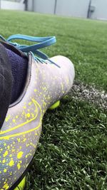 Close up of grass