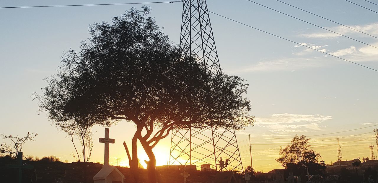 SILHOUETTE TREES AGAINST SKY AT SUNSET