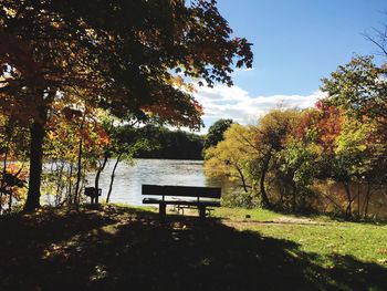 Scenic view of lake by trees against sky