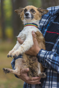 Full length of man holding dog