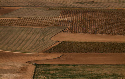 Aerial view of agricultural field in castilla la mancha, spain
