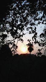 Low angle view of silhouette trees on landscape against sky