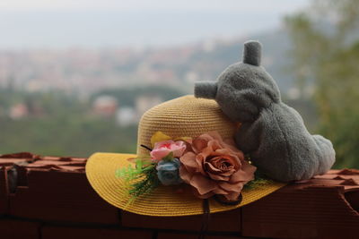 Close-up of stuffed toy and hat on table