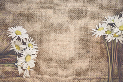 Directly above shot of daises on jute