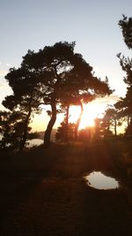Silhouette trees by lake against sky during sunset