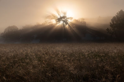 Scenic view of field against sky during sunset