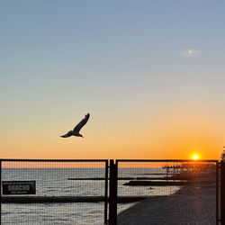 Silhouette man jumping over sea against clear sky during sunset