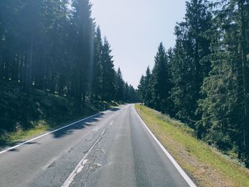 Empty road along trees in forest