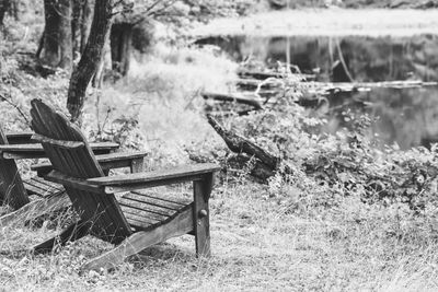 Empty adirondack chairs by wooded pond