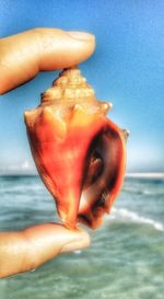 Close-up of hand holding ice cream against sea