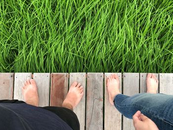 Low section of people on grass