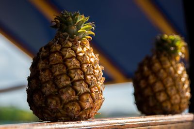 Close-up of bread against sky