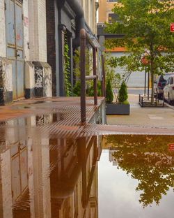 Reflection of building in water