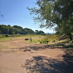 Dirt road amidst field against clear sky