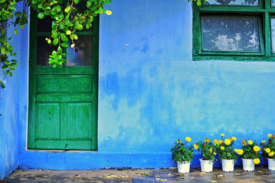 Closed wooden door of house