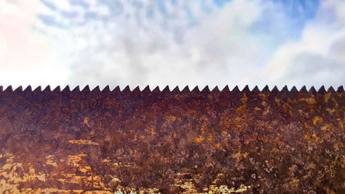 Panoramic shot of plants on field against sky