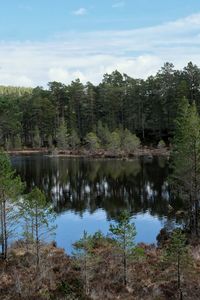 Scenic view of lake by trees against sky