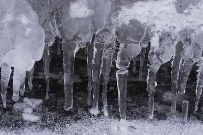 Close-up of frozen ice