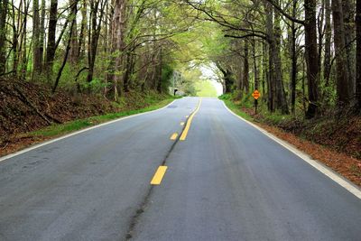 Empty road passing through forest