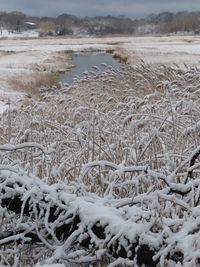 Scenic view of snow covered land