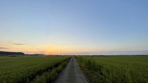 Scenic view of agricultural field against sky during sunset