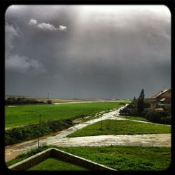 Scenic view of grassy field against sky