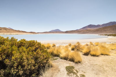 Scenic view of lake against clear sky