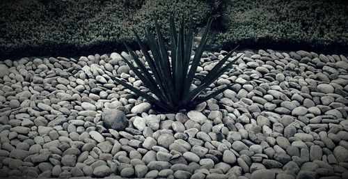 stone - object