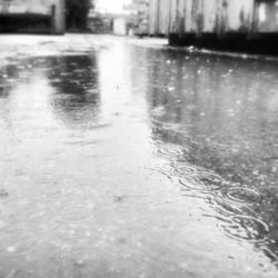 Surface level of rain drops on road