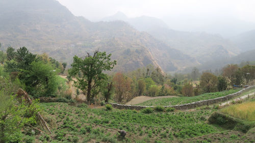 Scenic view of mountains