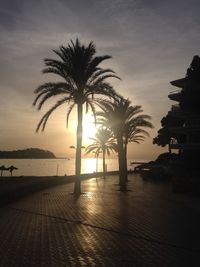 Silhouette palm tree by swimming pool against sky during sunset