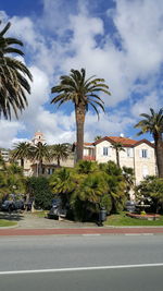 Street by palm trees and houses against sky