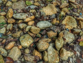 Full frame shot of pebbles